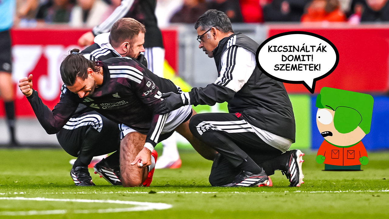 Kicsinálták Domit! Szemetek!